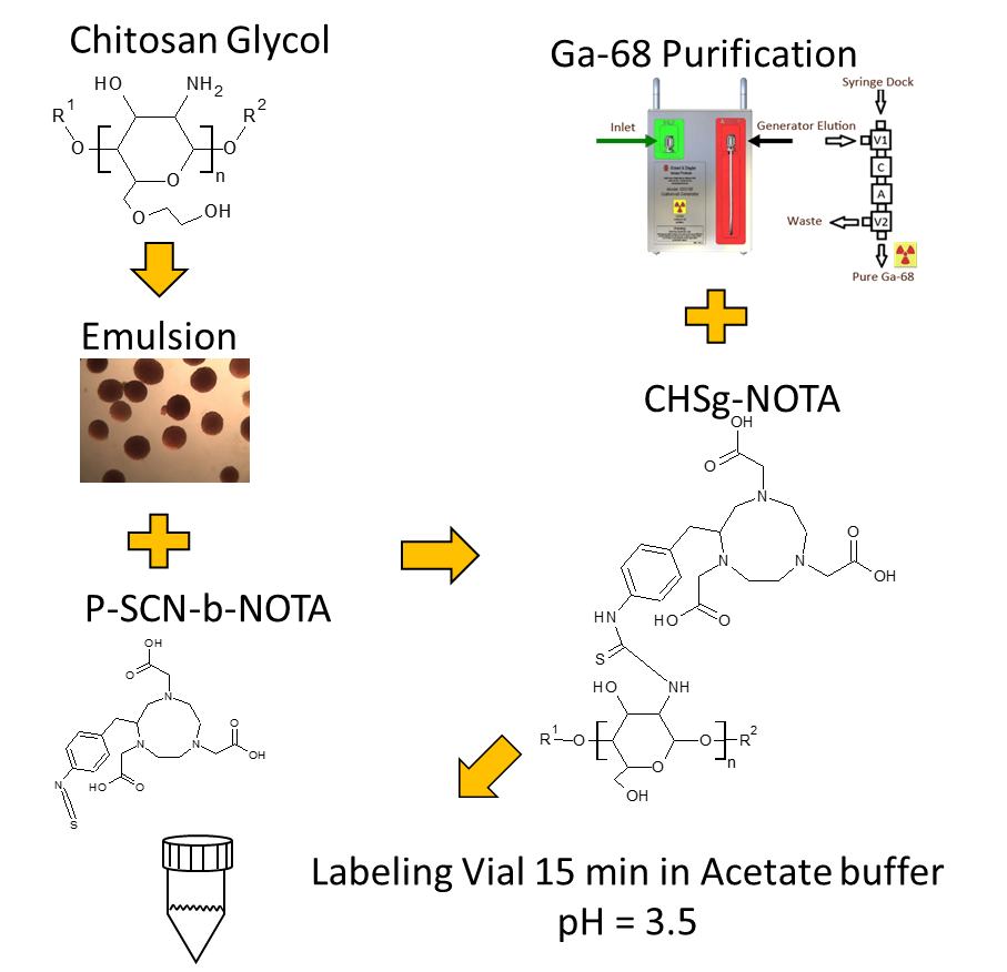 Conjugation Chemistry of Ga-68 to Chitosan Microspheres 