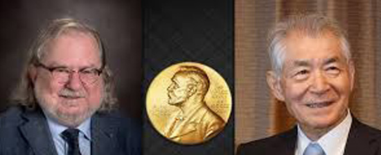 The 2018 Nobel Prize in Physiology or Medicine jointly to James P. Allison and Tasuku Honjo